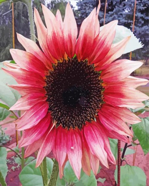 Pink Sunflower In Field Diamond Painting