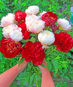 Red And White Peonies Flowers Diamond Painting