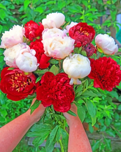 Red And White Peonies Flowers Diamond Painting