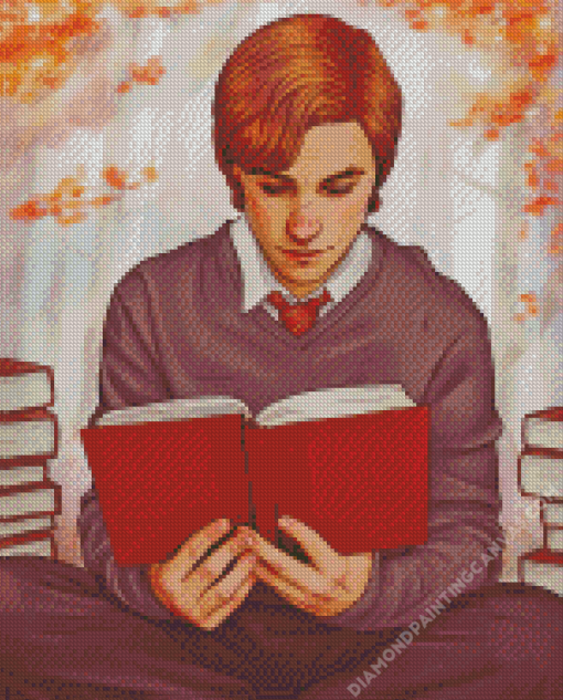 Remus Lupin Reading Art Diamond Painting