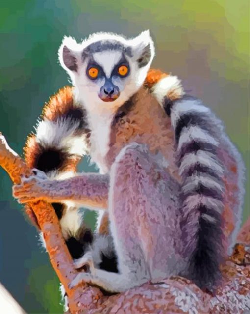 Ring Tailed Lemur Diamond Painting