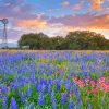 Texas Bluebonnets With Windmill Diamond Painting