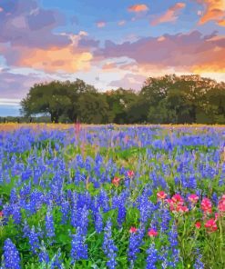 Texas Bluebonnets With Windmill Diamond Painting