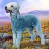 The Bedlington Terrier Diamond Painting