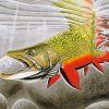 The Brook Trout Fish Underwater Diamond Painting