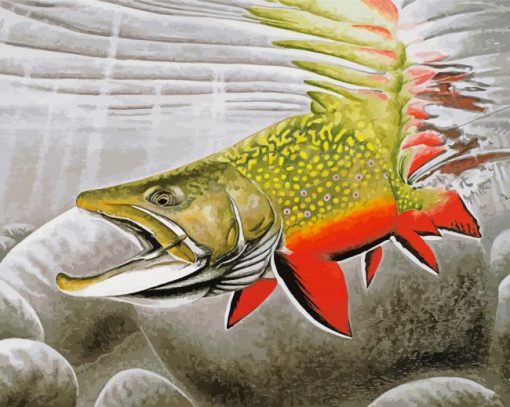 The Brook Trout Fish Underwater Diamond Painting