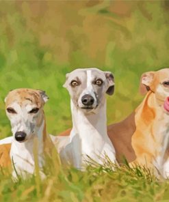 Whippets Diamond Painting