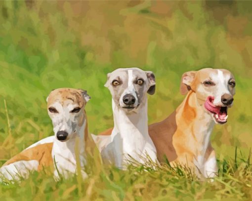 Whippets Diamond Painting