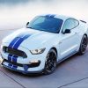 White And Blue Mustang Diamond Painting