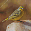 Aesthetic Finch Diamond Painting