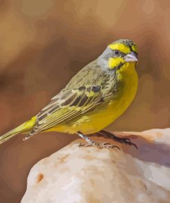 Aesthetic Finch Diamond Painting