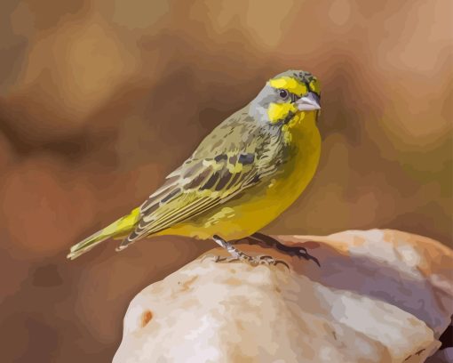 Aesthetic Finch Diamond Painting