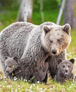 Aesthetic Mama Bear And Cubs Diamond Painting