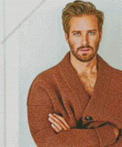 Armie Hammer Diamond Painting