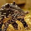 Baby Tapir Diamond Painting