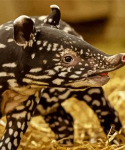 Baby Tapir Diamond Painting