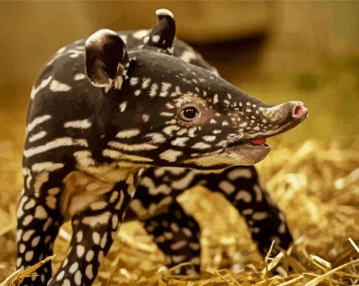 Baby Tapir Diamond Painting