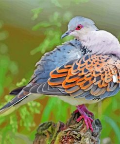 Beautiful Dove Bird Diamond Painting