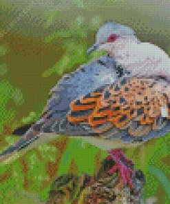 Beautiful Dove Bird Diamond Painting