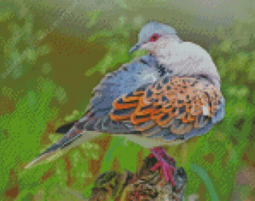 Beautiful Dove Bird Diamond Painting