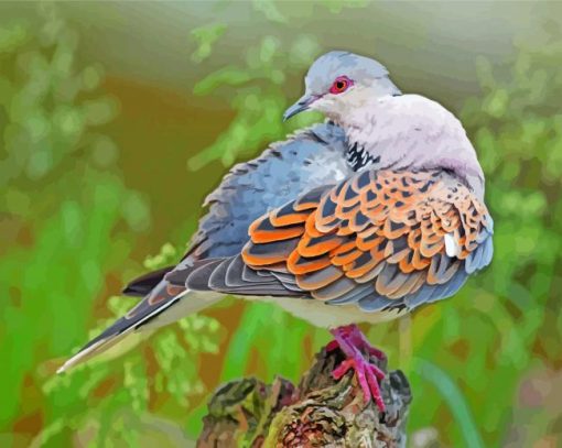 Beautiful Dove Bird Diamond Painting