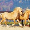 Beige Cob Horses Diamond Painting