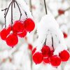 Berries In Winter Diamond Painting