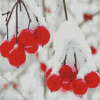 Berries In Winter Diamond Painting