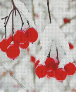 Berries In Winter Diamond Painting