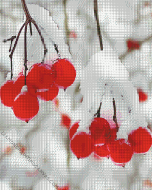 Berries In Winter Diamond Painting