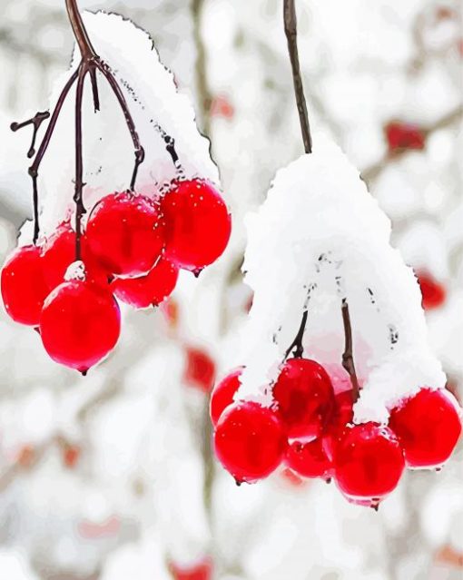 Berries In Winter Diamond Painting