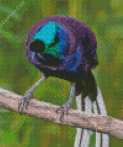 Bird With White Tailed Diamond Painting