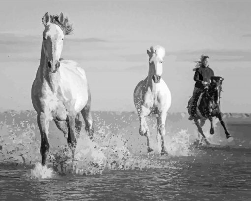 Black And White Horses In River Diamond Painting