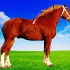 Brown Belgian Trait Horse Diamond Painting