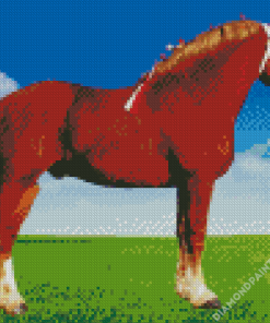 Brown Belgian Trait Horse Diamond Painting