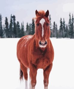 Brown Horse In Snowy Forest Diamond Painting