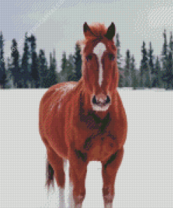 Brown Horse In Snowy Forest Diamond Painting