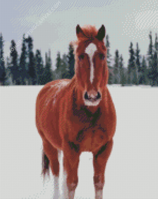 Brown Horse In Snowy Forest Diamond Painting