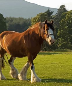 Clydesdale In Field Diamond Painting