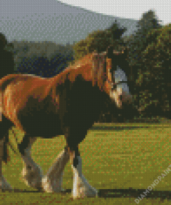 Clydesdale In Field Diamond Painting