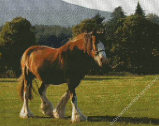 Clydesdale In Field Diamond Painting