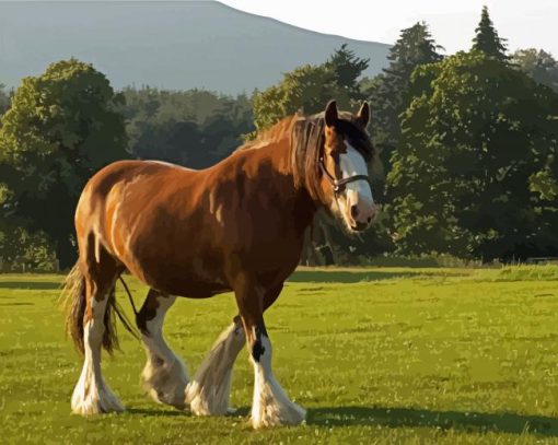 Clydesdale In Field Diamond Painting