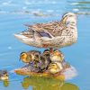 Duck With Its Baby Ducklings Diamond Painting