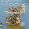 Duck With Its Baby Ducklings Diamond Painting