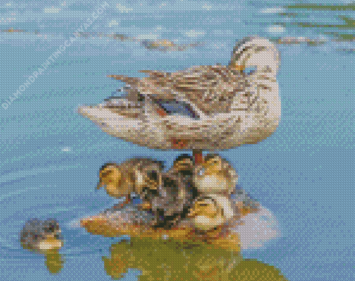 Duck With Its Baby Ducklings Diamond Painting