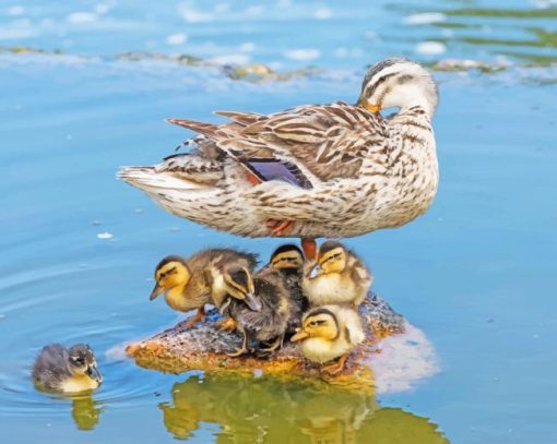 Duck With Its Baby Ducklings Diamond Painting