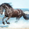 Friesian Horse On Beach Diamond Painting