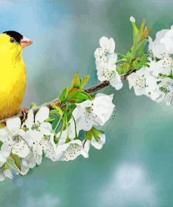 Goldfinch On Cherry Blossom Diamond Painting