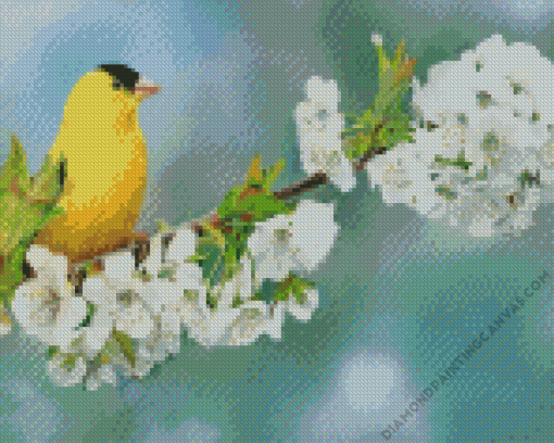 Goldfinch On Cherry Blossom Diamond Painting