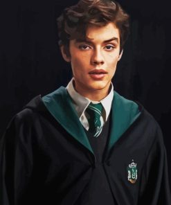 Harry Potter Mattheo Riddle Diamond Painting